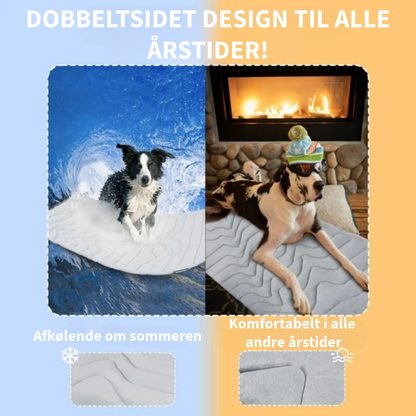 Innovativ Køledyne til Kæledyr