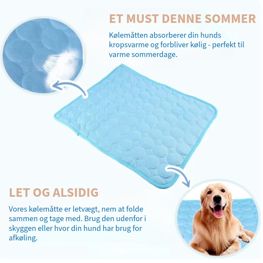 Innovativ Kjøledeke for Kjæledyr