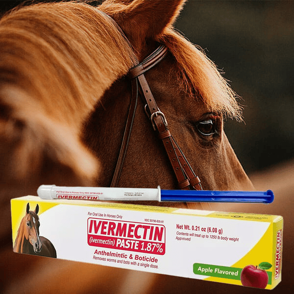 Ivermectinpaste til Heste