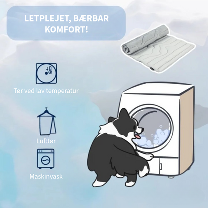 Innovativ Køledyne til Kæledyr