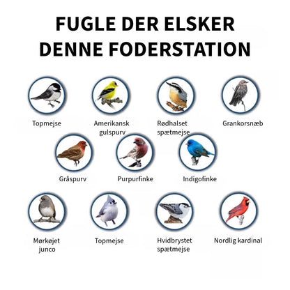 Anti-Egern Foderautomat