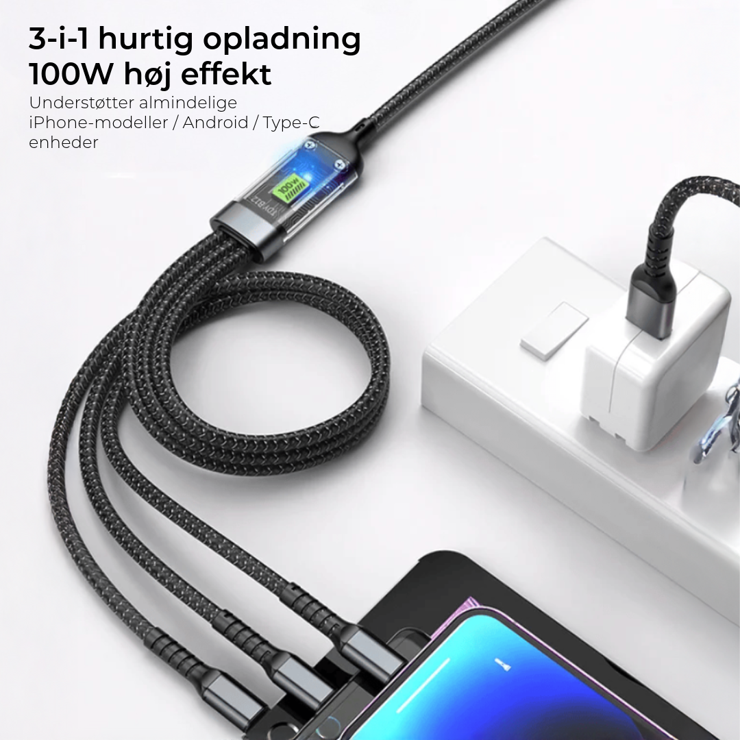 100W 3-i-1 Oplader